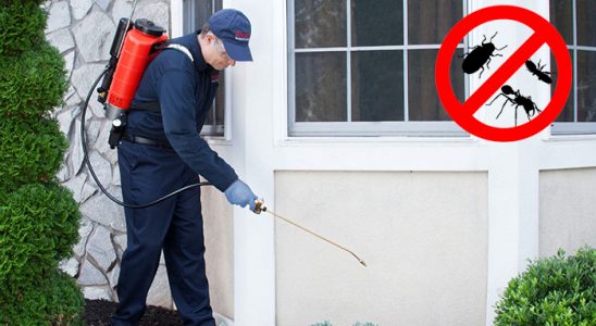 Kadınhanı Böcek ve Haşere İlaçlama böcek ilaçlama ve haşere kontrolü — ilaclama-tr.com